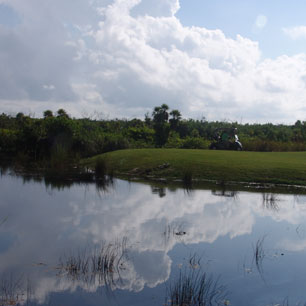 Wetland in Riviera Cancun Golf Course
